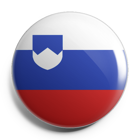 Slovakia Flag