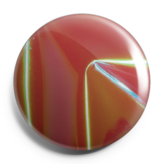 Chameleon Orange